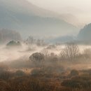 깊은산속 이미지