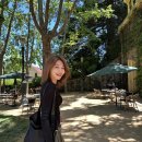 블라썸컴퍼니 이미지