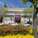 원낚시백화점 | 포항 낚시용품점 추천 KD낚시백화점 매장 방문 후기