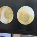 복음보청기 성남센터 이미지