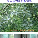 화수농장 이미지