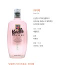 술플러스 이미지