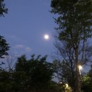 노량진주짓수 - 동작구 장승배기로30길 6-5 | 《 존프랭클 노량진 주짓수 입문자를 위해 _내향형의 찐 후기 》