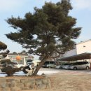 이화초교 이미지