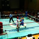 이천철권복싱체육관 이미지