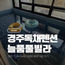 지에스(GS)25 경주시래점 | [경주아이랑] 가성비 독채 '늘품풀빌라' | 24시간 미온수 수영장·에어바운스·트램폴린·편백사우나...