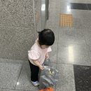 아산참동물약국 네이버블로그