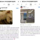 이리온동물메디컬센터 - 남양주시 해밀예당3로 167 | 이리온동물메디컬센터
