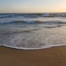 캘리포니아 이미지