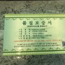 삼모아 | 이번 추석선물은 장뇌삼 산양산삼으로 해보세요