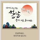 연우치과 Daum카페