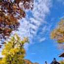 (주)행복은행나무 네이버블로그