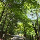 인더라인(마니산) | 기(氣) 듬뿍 받는 민족의 명산! 강화도 마니산 대중교통 버스 연계 산행
