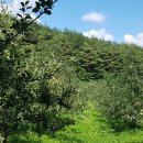 홍제원농장 이미지