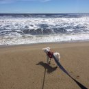 양양 아담하우스 이미지