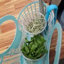 서창남순환로216번길1L | 인천 실내동물원 아이와 함께 쥬벅스 완전 만족 후기