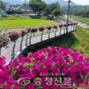 금산천 데크길 이미지