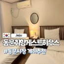 동문취향게스트하우스 | 제주 동문취향게스트하우스 가성비 혼자여행 숙박 솔직후기(+포트럭파티)