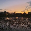 복코찜이 이미지