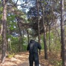 초록산등산로 이미지