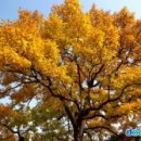 상수리공원 이미지