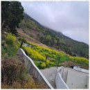 남해의 여유 이미지