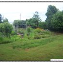 노을과포도향기 이미지