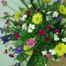 밀드플레 이미지