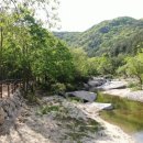 주은 자연휴양림 이미지