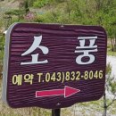 펜션 소풍 이미지
