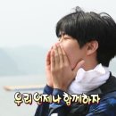 개나리상회 이미지