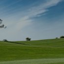 파인스크린골프 이미지