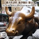 베이글스트리트 | 미국 뉴욕 여행 / 미국 뉴욕 월스트리트 황소 동상 / 월스트리트 맛집 Liberty Bagels