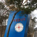 사회복지현장실습 이미지