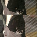 혜인동물병원 이미지