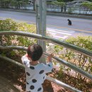 잼재미 뮤직&플레이 (D) 이미지