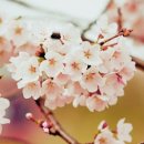 아이엠네일 이미지