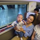 Bullet Train 이미지