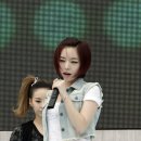 너구리 유격대 이미지