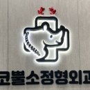 코뿔소정형외과의원 네이버블로그