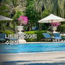 아쿠아 풀(AQUA POOL) | 나트랑 메리어트 수영장 후기 | 풀 사이드바·인생 샷 명소·꿀팁 총정리
