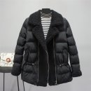 G1661 이미지