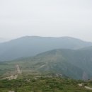 지영축산 이미지