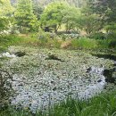 생명의 숲 | 태안 천리포수목원 – 바닷길 따라 걷는 생명의 숲