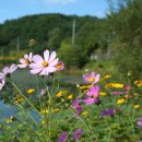 울산북구기적의도서관 이미지