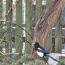 리에또식당 이미지