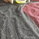 애정농장 이미지