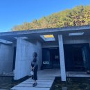 숲속힐링민박 | 울산카페 왕방요 건축상 수상 숲속 힐링카페 솔직후기