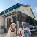 티몬이네 목욕탕 이미지