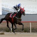 (주)디알엠 이미지